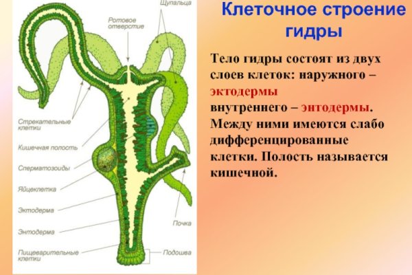 Сайт вместо гидры