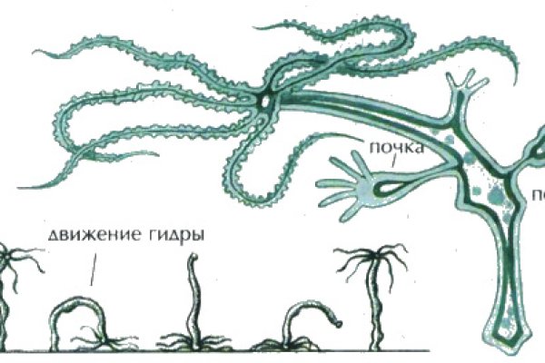 Кракен гидра даркнет